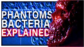 The SPECIES EXTINCTING Ancient Enemy In Phantoms Explained [upl. by Airtemad996]