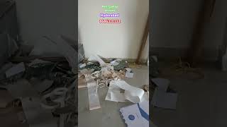 Best pest control services hyderabad [upl. by Tserrof346]