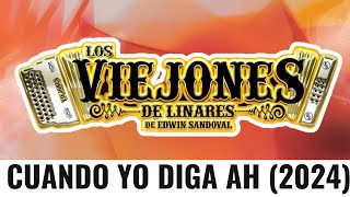 LOS VIEJONES DE LINARES DE EDWIN SANDOVAL  CUANDO YO DIGA AH EN VIVO JUNIO 2024 [upl. by Hayward]