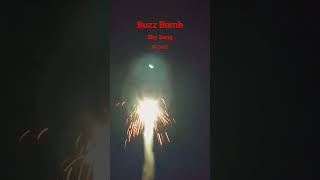 Buzz Bomb Firework  Sky Song [upl. by Isdnil]