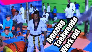 Very Important Taekwondo Work Out [upl. by Nahgem]