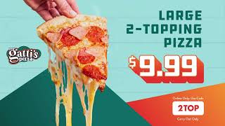 Mr Gattis Pizza  999  Large 2 Topping Deal [upl. by Ivzt401]