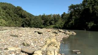 Rocky banks of Doyang river in Nagaland [upl. by Mariko581]