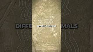 The Mystery of the Nazca Lines [upl. by Lebatsirhc]