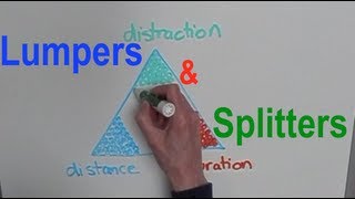 Lumping and Splitting Criteria A Dog Training Model Showing Distance Duration and Distraction [upl. by Ettena]