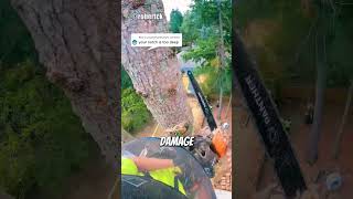 Removing Tree In A Tight Spot😱 arborist logging chainsawman [upl. by Aicilana459]