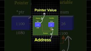 pointers in c language shortspointercodingprogrammingbtechengineeringclanguage [upl. by Esile]