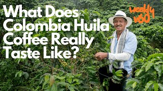 What Does Colombia Huila Coffee Really Taste Like [upl. by Siraved577]