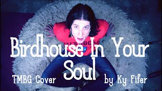 Birdhouse In Your Soul TMBG Cover by Ky Fifer [upl. by Early427]