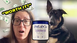 Before buying probiotics for dogs WATCH THIS  PetLab Co Review [upl. by Kauffmann]