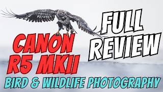 CANON R5 MKII  Wildlife Photography Full Review  Field Tested above the Arctic Circle [upl. by Biron594]