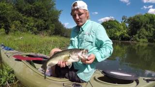 Fly Fishing For Bass in Central Texas [upl. by Unam923]