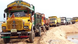 Tippers Formation of Line for Loading of Sand  Lorry Videos  Truck Videos  TIPPER LORRY TRUCK [upl. by Jacobina]