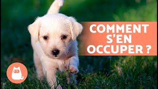 Comment PRENDRE SOIN DUN CHIOT  🐶 Éducation Alimentation Hygiène et Jeu [upl. by Nader875]