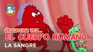 Erase Una Vez El Cuerpo Humano  La sangre [upl. by Aihsenyt]