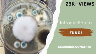 Introduction to fungi  Fungus  Theory  Microbiology  Mycology  Study of fungi [upl. by Marjy948]