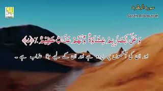 surah al fathia surah al baqarah beautiful voice hafiz AbdulRahman سورہ الفاتحہ سورہ البقرہ [upl. by Tiossem]