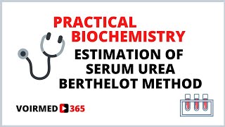 11 ESTIMATION OF SERUM UREA  BERTHELOT METHOD  BIOCHEMISTRY PRACTICAL [upl. by Furgeson471]