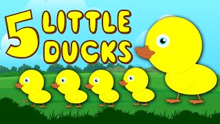 Five Little Ducks – Nursery Rhyme For Children [upl. by Anialam]