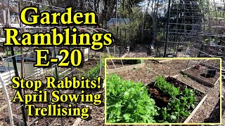 What to Direct Sow in April Trellising Rabbit Protection Garden Ramblings Tips amp Tour E20 [upl. by Eneladgam]