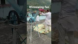 winnowing winnowingfan agriculturelife agriculture [upl. by Haneen]