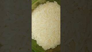 UNCOOKED RICE🍚🌾 tamil asmrriceloverrawriceasmreatingbasmatiricericemukbangmakanberasshorts [upl. by Cooley]