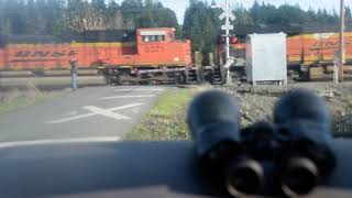 Train by AuburnSumner interurban trail [upl. by Marzi]