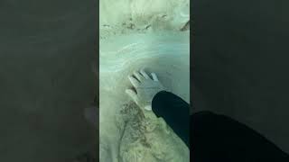 ESTO PASÓ HOY EN CANARIAS😱 canarias mar oceano playa arena turismo buceo snorkeling peces [upl. by Ulphia]