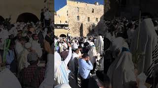 Birchat Cohanim Sukkot 2024 Full video [upl. by Polard578]