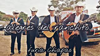 El De Chiapas  Alegres Del Ranchito  Corridos 2019 [upl. by Htiderem]