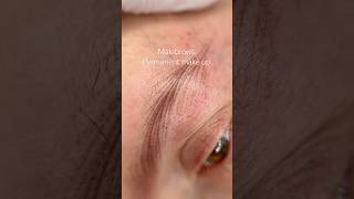 Männer Augenbraue Permanent make up bei Alopezie [upl. by Louisette]