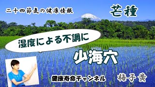 【芒種】湿度温度による不調改善「少海穴」 [upl. by Armilda214]