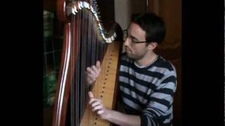 Brocéliande  Alan Stivell celtic harp cover [upl. by Regnig]