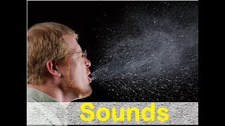 Sneeze Male Sound Effects All Sounds [upl. by Deth381]