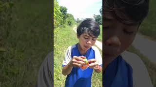 Tasting Spicy Sauce with Fresh Fruit 🍉🔥 rurallife chili foodvlog [upl. by Jammin]