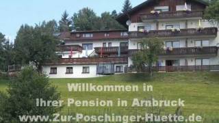 Hotel Pension Arnbruck Zur Poschinger Hütte  Bayerischer Wald bei Bodenmais [upl. by Vasilek375]