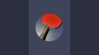 Table tennis 202410292 [upl. by Gnort]