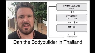 HPTA Axis Explained  WHY PCT WORKS AFTER A STEROID CYCLE  BODYBUILDING SCIENCE [upl. by Enitsuj]