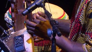 The Griot tradition of West Africa  Sibo Bangoura  TEDxSydney [upl. by Genisia]