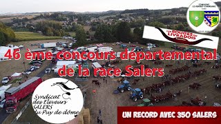 Concours départemental de la race salers au VernetChaméane [upl. by Nele705]