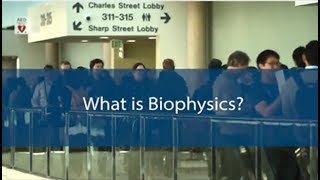 What is Biophysics [upl. by Ujawernalo]