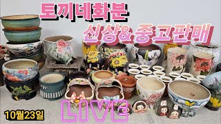 10월23일토끼네화분 신상과 중고판매 [upl. by Nereen]