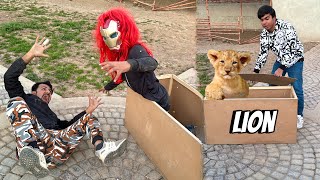 Hmara Lion Agea 😍 Mamu Ky Sath Prank 🤣 [upl. by Elianora412]