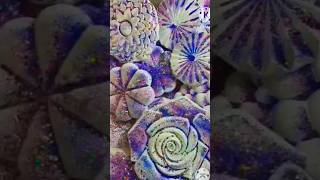 White rose 🤩🤤 asmr oddlysatisfying asmrsounds gymchalk ASMRgymchalkIndonesia [upl. by Sloane]