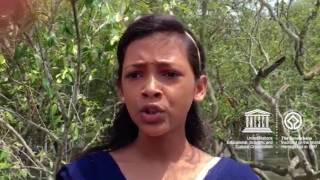 Sudeshna MyOceanPledge Sundarbans National Park World Heritage marine site [upl. by Karl]