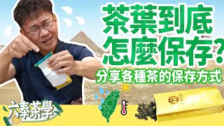 【六奉茶學】茶葉怎麼保存？不同的茶有各自的保存方式！ [upl. by Nnywg]