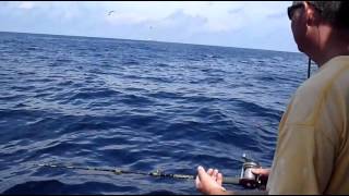 quotHowtoquot Catch Bluefish on Bait  Cock Robin  Deep Sea Fishing  Point Pleasant NJ [upl. by Kcirtemed]