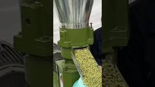 Flat die pellet mill machine with grass corn [upl. by Ennoira]