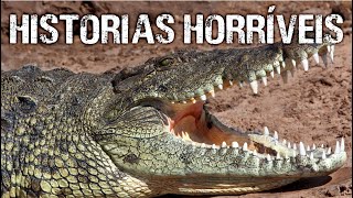 As histórias de Ataques de CROCODILOS mais horríveis de todos os tempos  Maratona Ep 03 [upl. by Ylrebmyk]