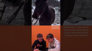 la Neve fa Sempre un certo effetto reaction ft diego [upl. by Ayek190]